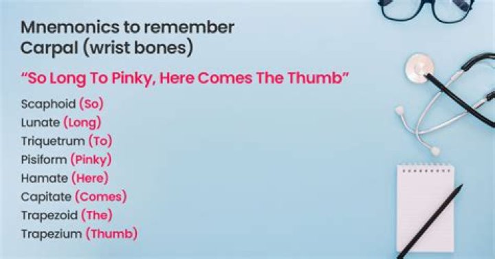 How can I remember the bones of my hand?