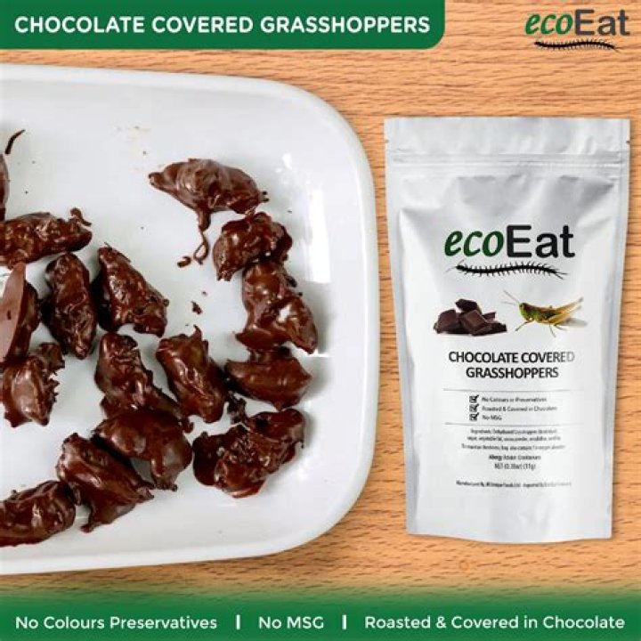 How do you make chocolate covered grasshoppers?