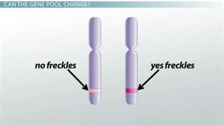 What makes a population's gene pool change?